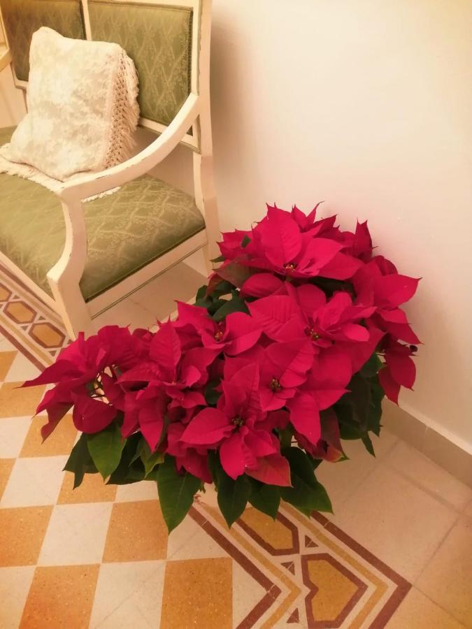 Bed and Breakfast Casa Mireio Модика Экстерьер фото